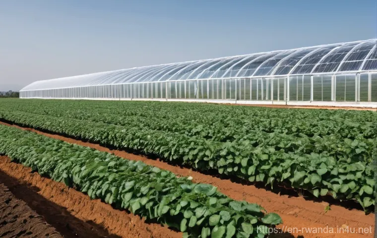 르완다 농산물 수출 - **Prompt:** A vibrant, sun-drenched scene showcasing Rwandan coffee farmers meticulously hand-pickin...